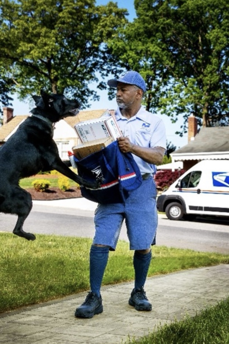 Mail Carriers Bitten by Dogs in California More Than Anywhere Else in U.S.